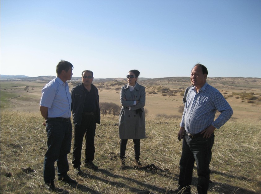 發(fā)揮資源優(yōu)勢，提高產(chǎn)業(yè)鏈競爭力——協(xié)會為企業(yè)間的合作搭建平臺